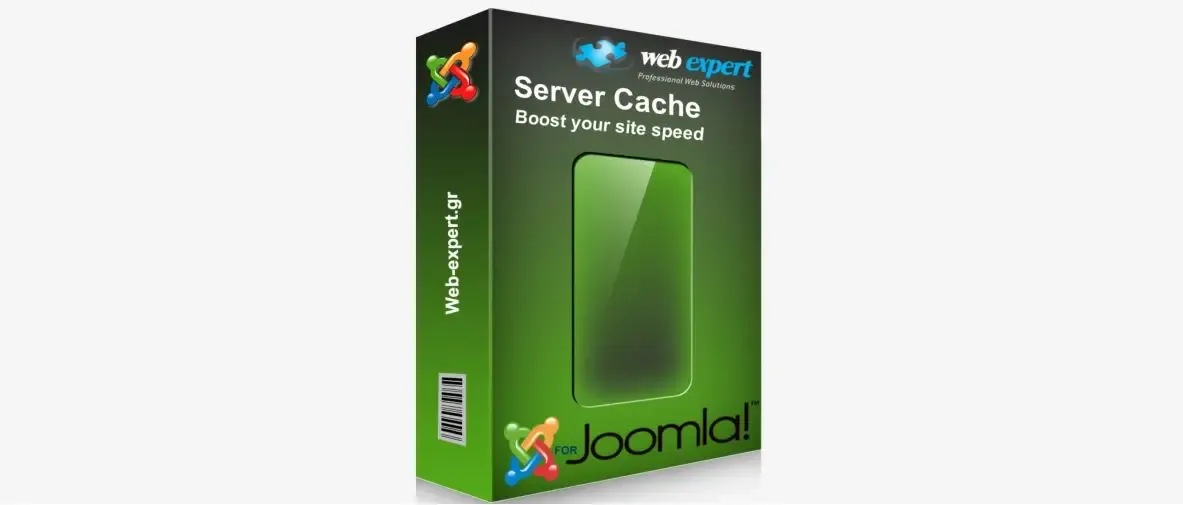 server cache