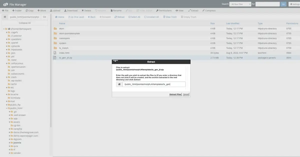 Extracting Template