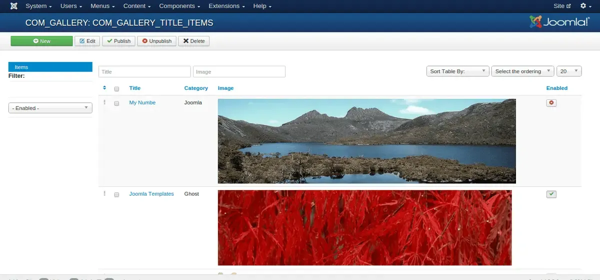 Site---Administration---COM_GALLERY--COM_GALLERY_TITLE_ITEMS.png Site—Administration—COM_GALLERY–COM_GALLERY_TITLE_ITEMS.png
