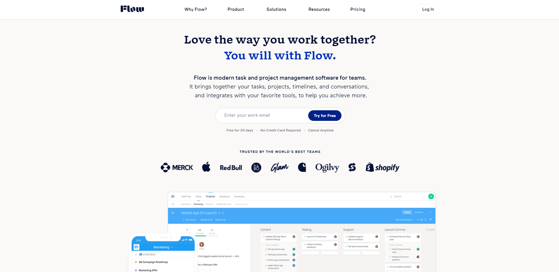 Flexible Project Task Management Software for Teams Flow