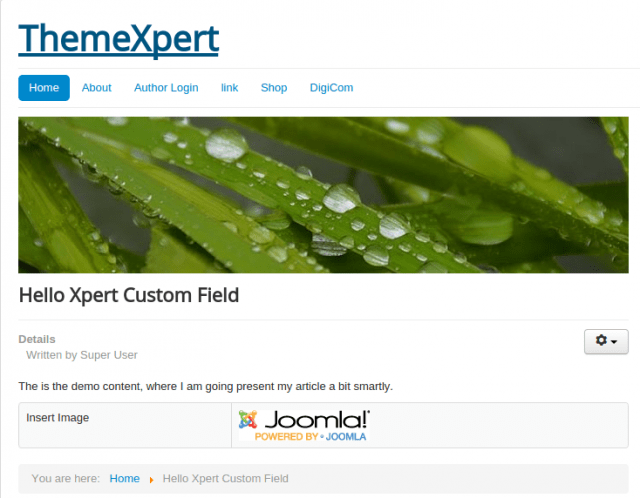 adding_custom_field_in_joomla