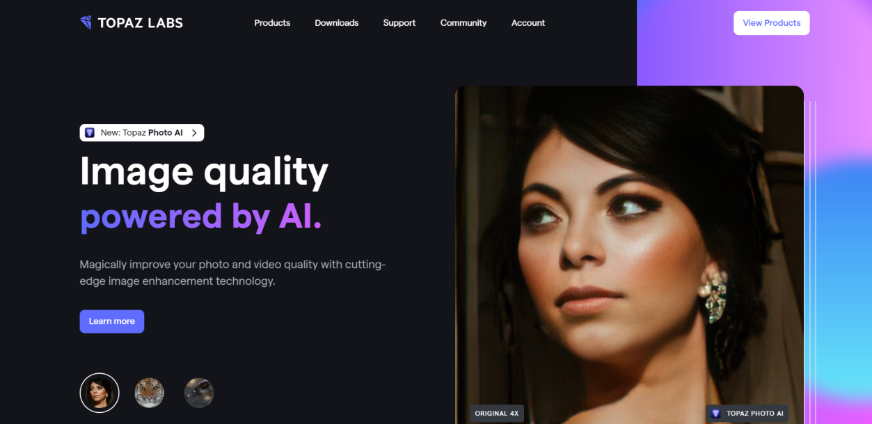 Topaz Labs AI Image Quality Software