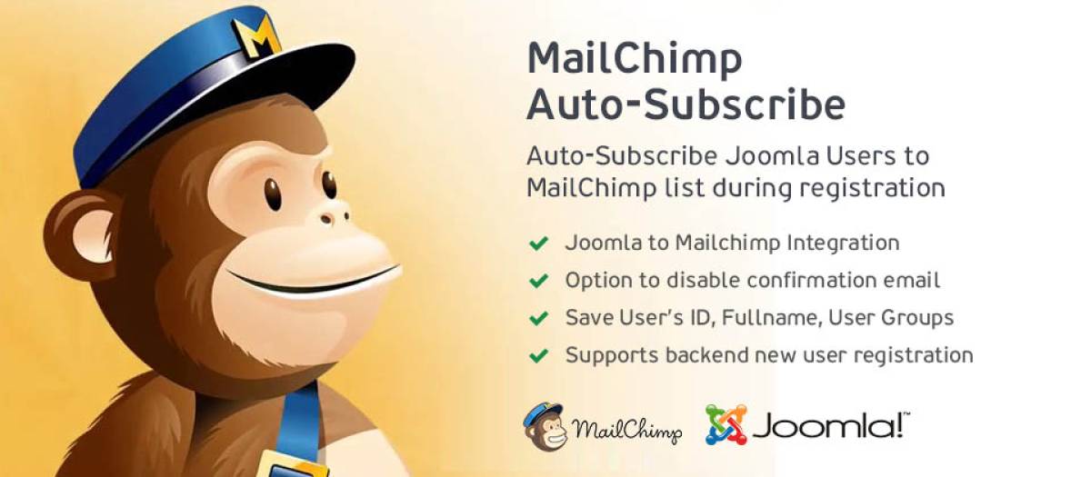 MailChimpAutoSubscribe
