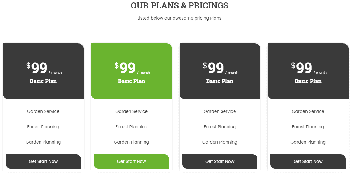 Pricing Plan