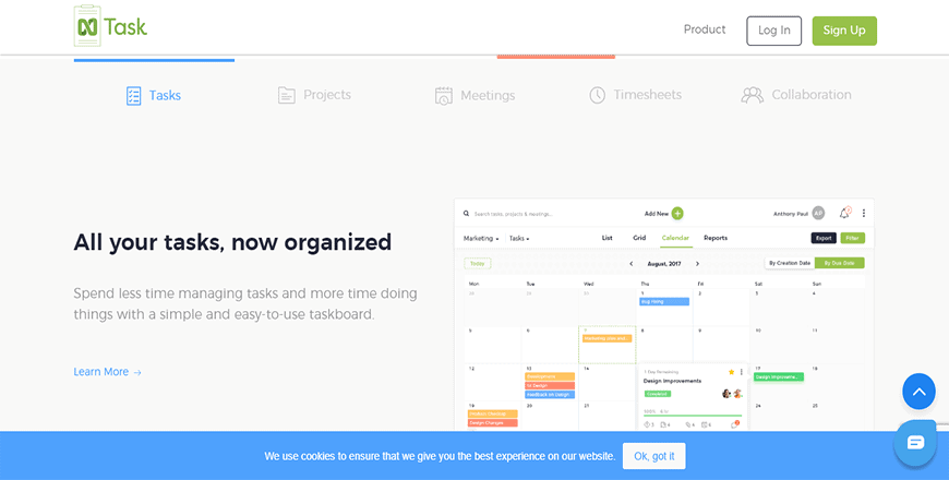 Ntask Gantt Chart