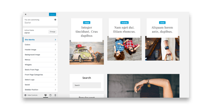 WordPress Customizer